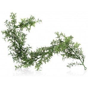 Boska Decorative Greenery Buxaceae Twig set of 6 pieces